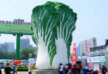 仿真大白菜-玻璃钢蔬菜水果雕塑商场农业生态园采摘园户外广场摆件